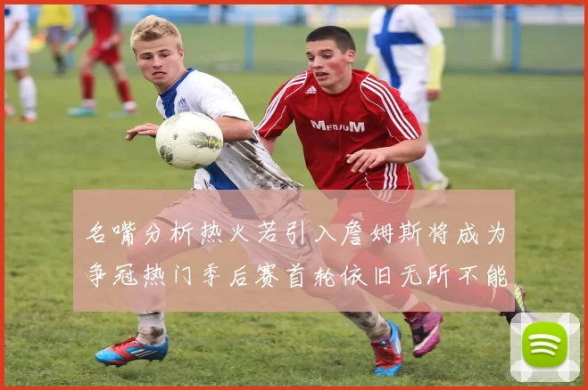 名嘴分析热火若引入詹姆斯将成为争冠热门季后赛首轮依旧无所不能